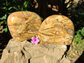 Polished Picture Stone Jasper Standing Free Forms x 2 From Ais-Ais, Namibia - Toprock Gemstones and Minerals 