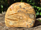 Polished Picture Stone Jasper Standing Free Forms x 2 From Ais-Ais, Namibia - Toprock Gemstones and Minerals 
