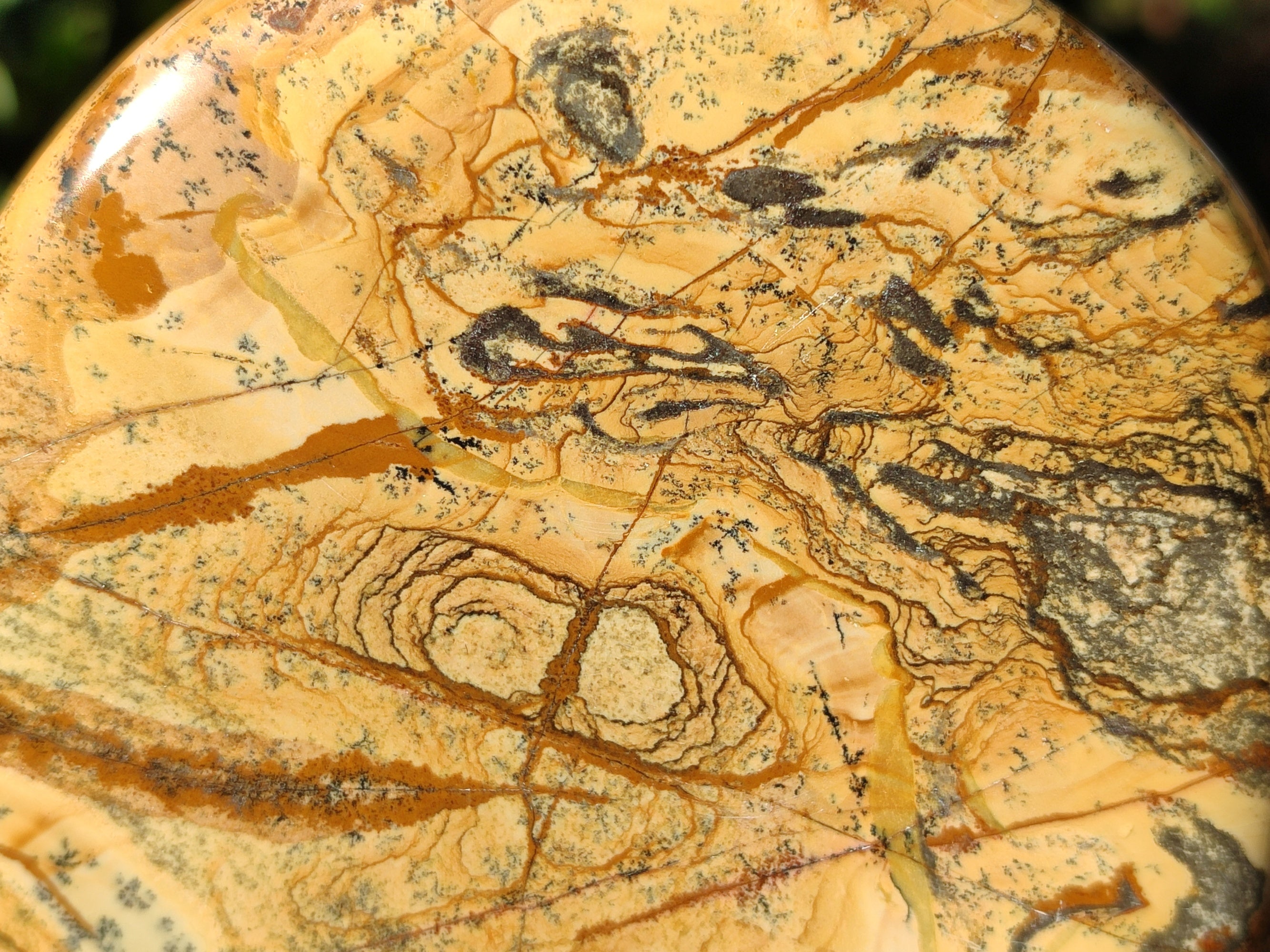 Polished Picture Stone Jasper Standing Free Forms x 2 From Ais-Ais, Namibia - Toprock Gemstones and Minerals 