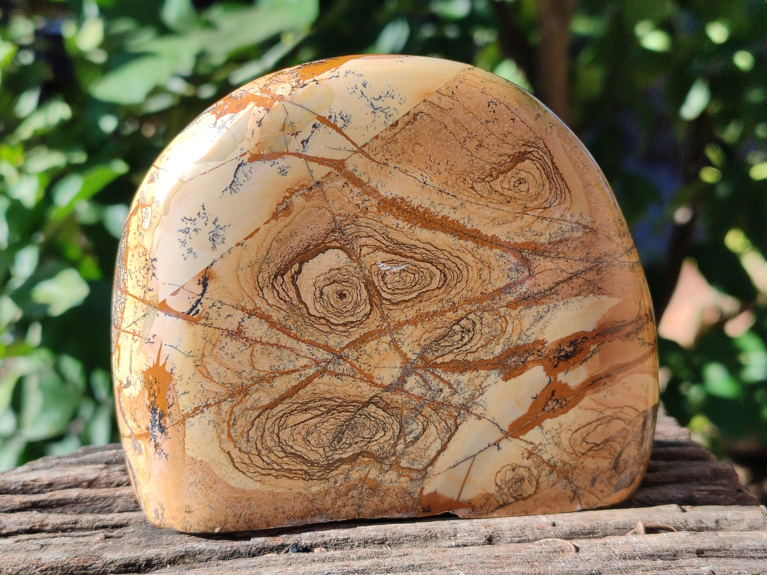 Polished Picture Stone Jasper Standing Free Forms x 2 From Ais-Ais, Namibia - Toprock Gemstones and Minerals 