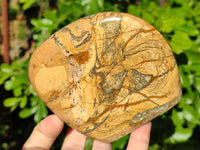 Polished Picture Stone Jasper Standing Free Forms x 2 From Ais-Ais, Namibia - Toprock Gemstones and Minerals 