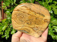 Polished Picture Stone Jasper Standing Free Forms x 2 From Ais-Ais, Namibia - Toprock Gemstones and Minerals 