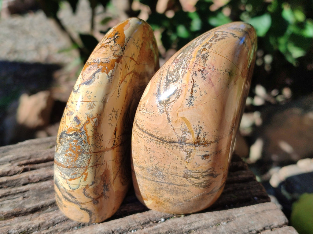 Polished Picture Stone Jasper Standing Free Forms x 2 From Ais-Ais, Namibia - Toprock Gemstones and Minerals 