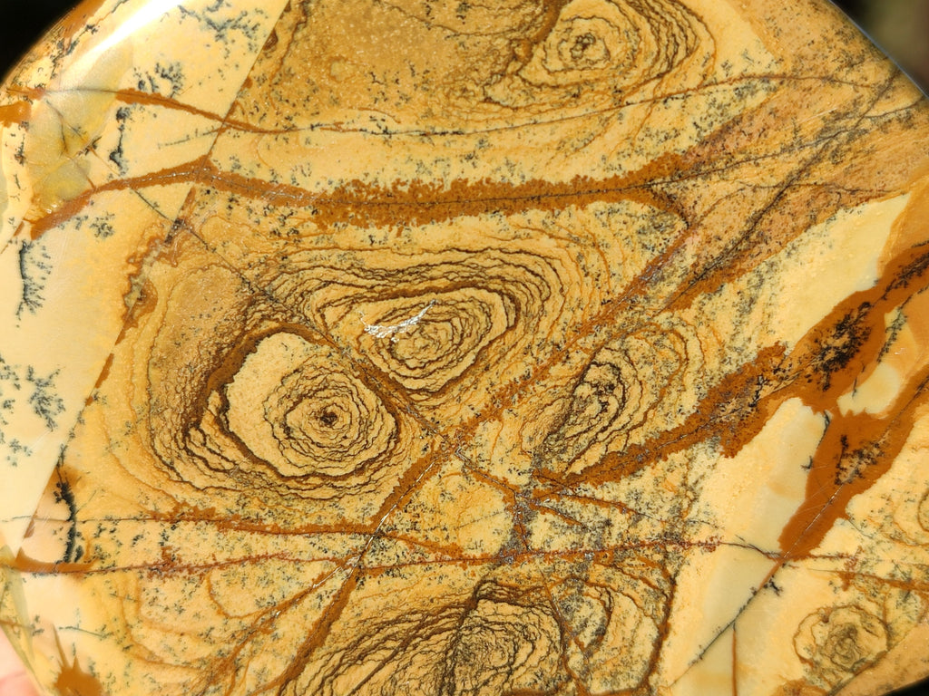 Polished Picture Stone Jasper Standing Free Forms x 2 From Ais-Ais, Namibia - Toprock Gemstones and Minerals 