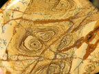 Polished Picture Stone Jasper Standing Free Forms x 2 From Ais-Ais, Namibia - Toprock Gemstones and Minerals 