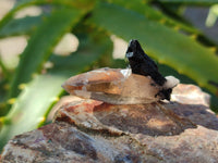 Natural Schorl Black Tourmaline and Smokey Quartz Crystal Specimens with some Hyalite Opal x 85 From Erongo, Namibia - Toprock Gemstones and Minerals 