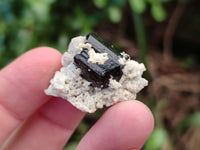 Natural Schorl Black Tourmaline and Smokey Quartz Crystal Specimens with some Hyalite Opal x 85 From Erongo, Namibia - Toprock Gemstones and Minerals 