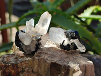Natural Schorl Black Tourmaline and Smokey Quartz Crystal Specimens with some Hyalite Opal x 85 From Erongo, Namibia - Toprock Gemstones and Minerals 