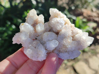 Natural White Cactus Spirit Quartz Clusters x 12 From South Africa - Toprock Gemstones and Minerals 