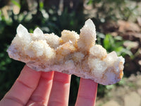 Natural White Cactus Spirit Quartz Clusters x 12 From South Africa - Toprock Gemstones and Minerals 