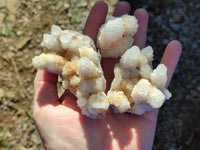 Natural White Cactus Spirit Quartz Clusters x 12 From South Africa - Toprock Gemstones and Minerals 