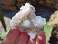 Natural White Cactus Spirit Quartz Clusters x 12 From South Africa - Toprock Gemstones and Minerals 