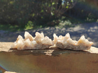 Natural White Cactus Spirit Quartz Clusters x 12 From South Africa - Toprock Gemstones and Minerals 