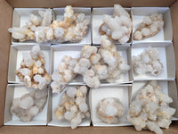 Natural White Cactus Spirit Quartz Clusters x 12 From South Africa - Toprock Gemstones and Minerals 