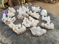 Natural White Cactus Spirit Quartz Clusters x 12 From South Africa - Toprock Gemstones and Minerals 