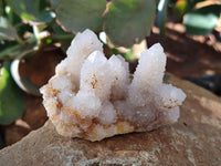 Natural White Cactus Spirit Quartz Clusters x 12 From South Africa - Toprock Gemstones and Minerals 