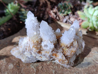 Natural White Cactus Spirit Quartz Clusters x 12 From South Africa - Toprock Gemstones and Minerals 