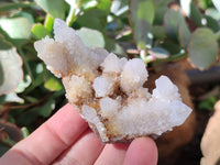 Natural White Cactus Spirit Quartz Clusters x 12 From South Africa - Toprock Gemstones and Minerals 