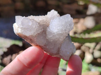 Natural White Cactus Spirit Quartz Clusters x 12 From South Africa - Toprock Gemstones and Minerals 