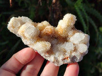 Natural White Cactus Spirit Quartz Clusters x 12 From South Africa - Toprock Gemstones and Minerals 