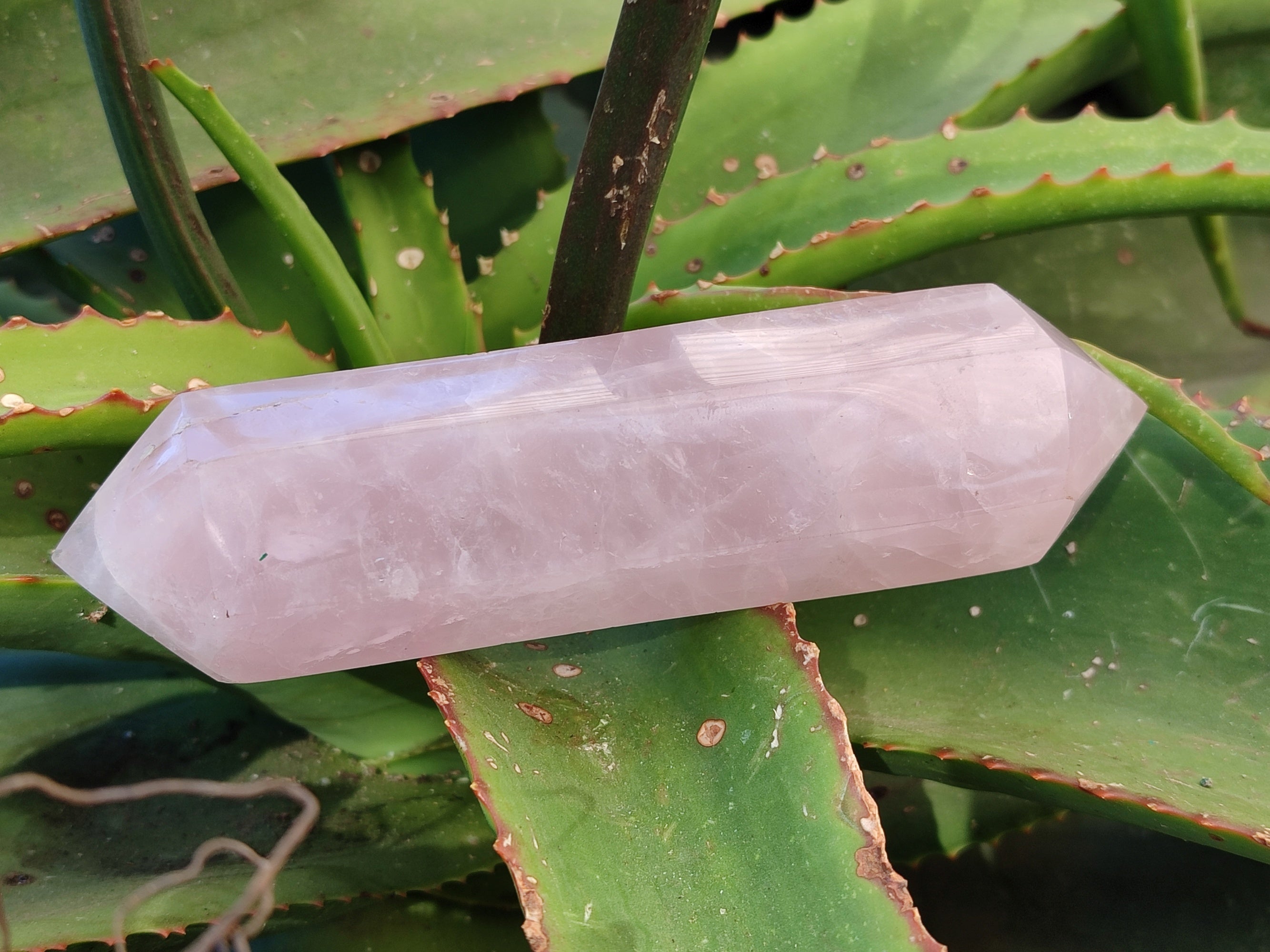 Polished Double Terminated Rose Quartz Points x 4 Ambatondrazaka, Madagascar - Toprock Gemstones and Minerals 