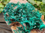 Natural Classic Large Dioptase On Dolomite Cabinet Specimen x 1 From Likasi, Congo - Toprock Gemstones and Minerals 