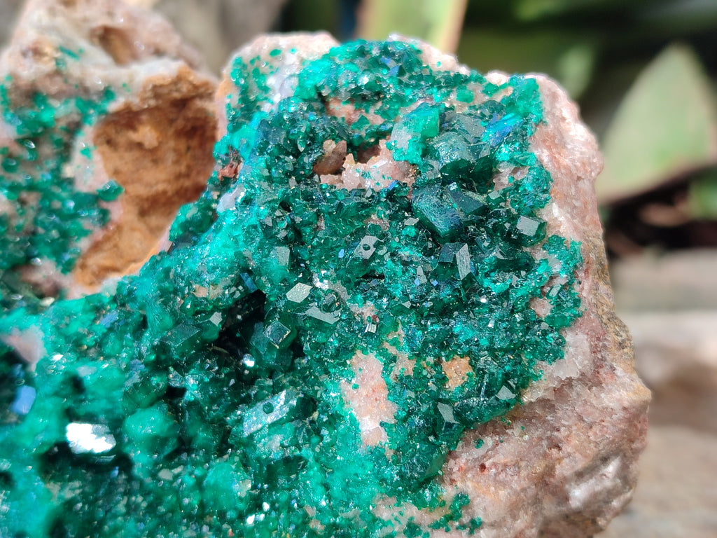 Natural Classic Large Dioptase On Dolomite Cabinet Specimen x 1 From Likasi, Congo - Toprock Gemstones and Minerals 