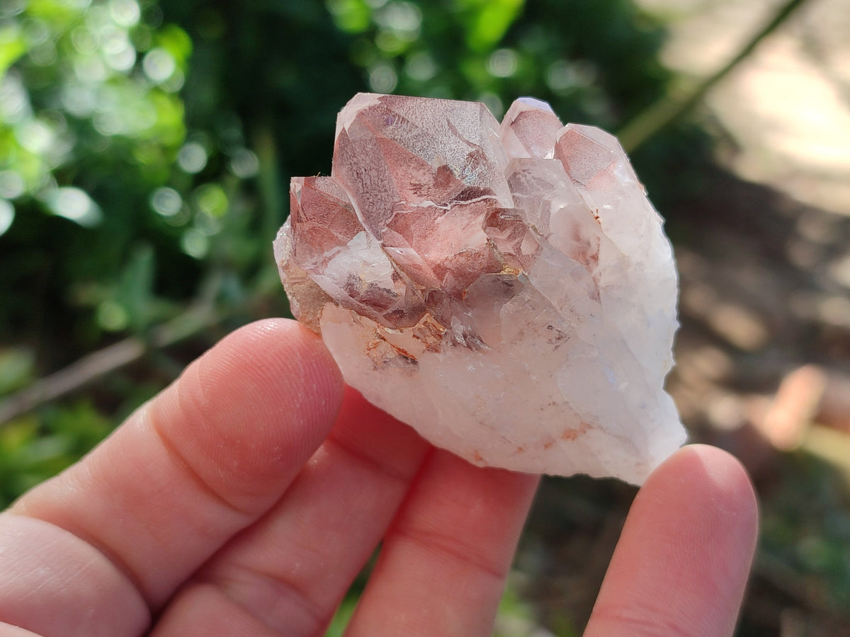 Natural Mixed Quartz Specimens x 1.47 Kg Lot From Southern Africa - Toprock Gemstones and Minerals 