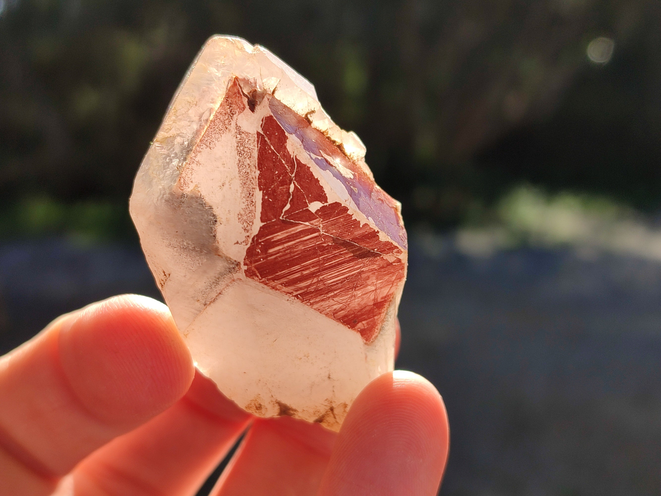 Natural Mixed Quartz Specimens x 1.47 Kg Lot From Southern Africa - Toprock Gemstones and Minerals 