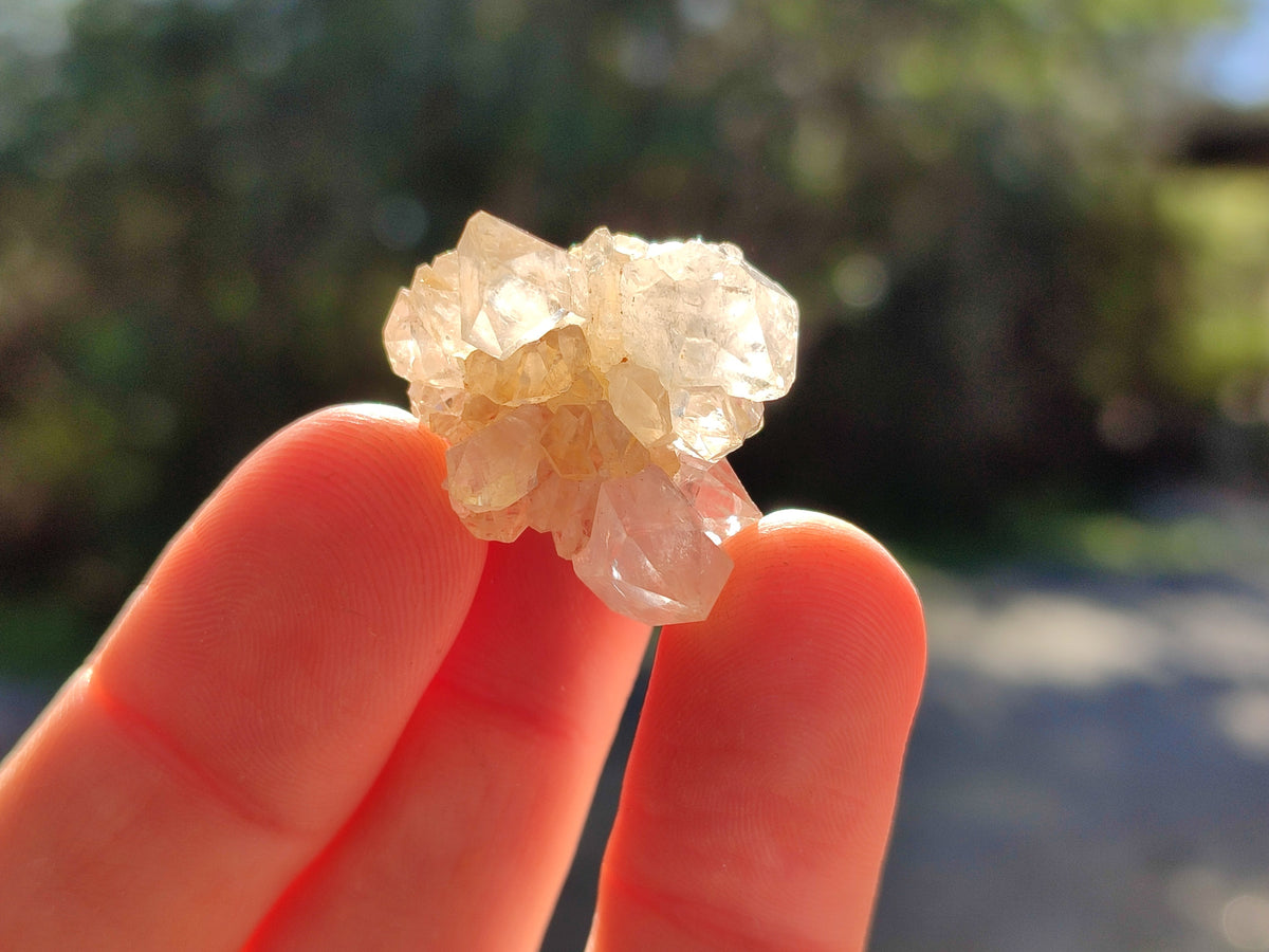 Natural Mixed Quartz Specimens x 1.47 Kg Lot From Southern Africa - Toprock Gemstones and Minerals 