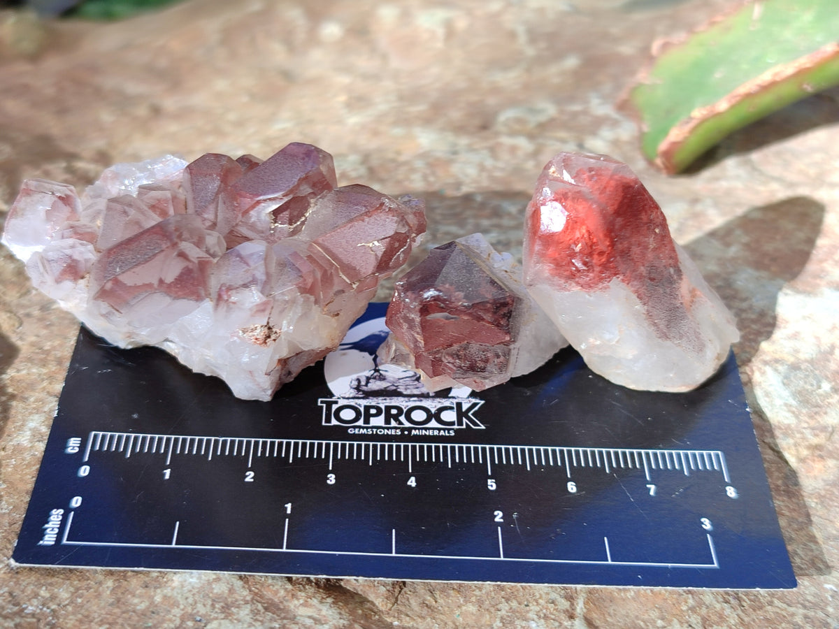 Natural Mixed Quartz Specimens x 1.47 Kg Lot From Southern Africa - Toprock Gemstones and Minerals 