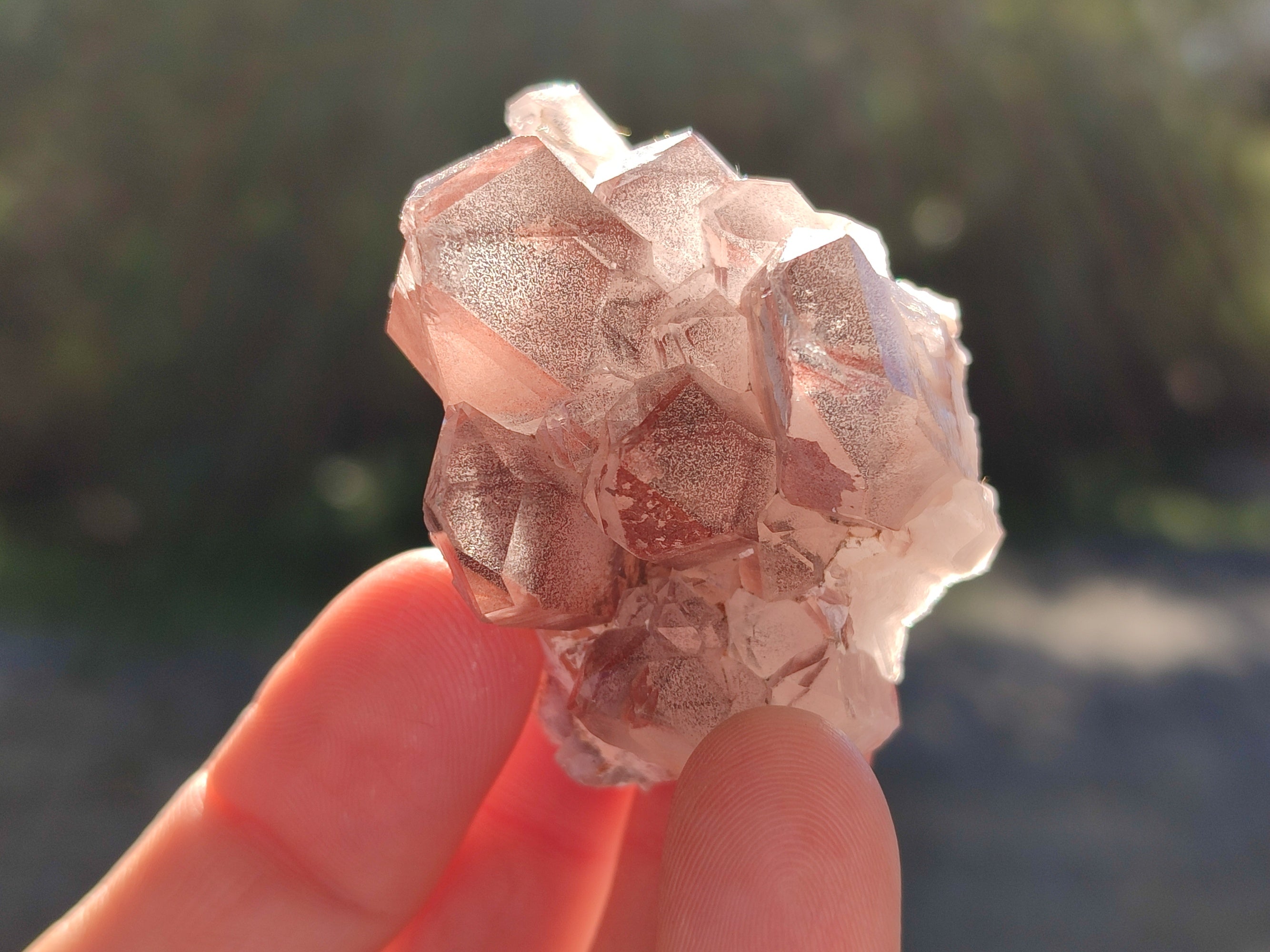 Natural Mixed Quartz Specimens x 1.47 Kg Lot From Southern Africa - Toprock Gemstones and Minerals 