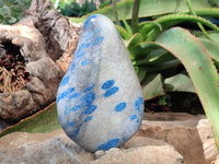 Polished Blue Spinel Spotted Standing Free Form x 1 From Madagascar - Toprock Gemstones and Minerals 