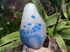 Polished Blue Spinel Spotted Standing Free Form x 1 From Madagascar - Toprock Gemstones and Minerals 