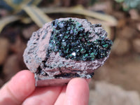 Natural Libethenite Crystals On Dolomite Matrix Specimens x 12 From Shituru, Congo - Toprock Gemstones and Minerals 