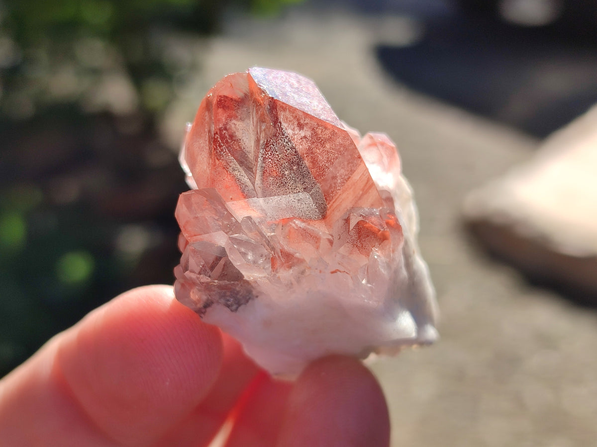 Natural Mixed Quartz Specimens x 3.88 Kg Lot From Southern Africa - Toprock Gemstones and Minerals 