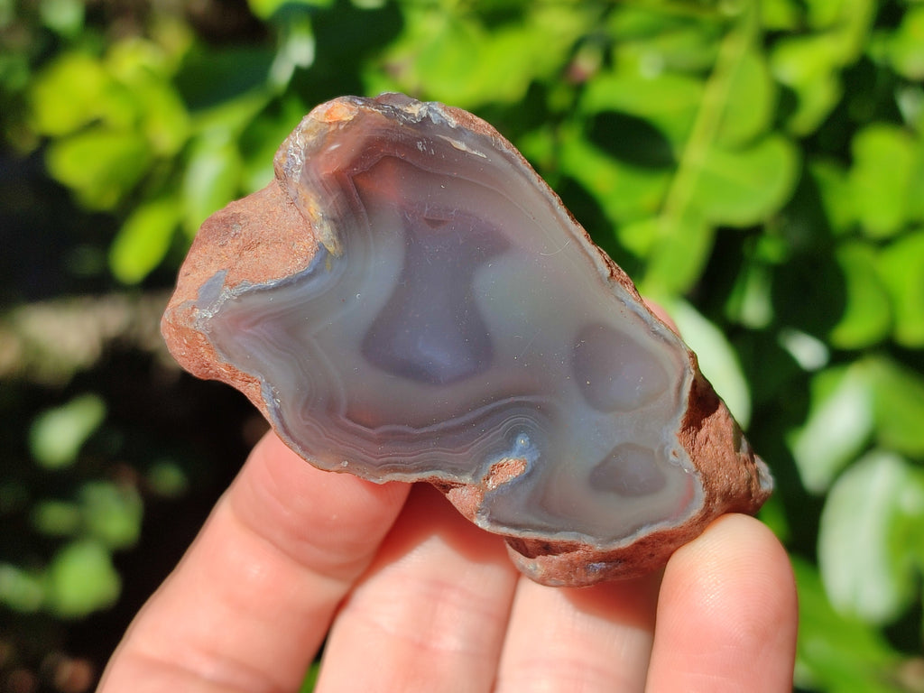 Polished On One Side Red Sashe River Agate Nodules x 12 From Zimbabwe - Toprock Gemstones and Minerals 