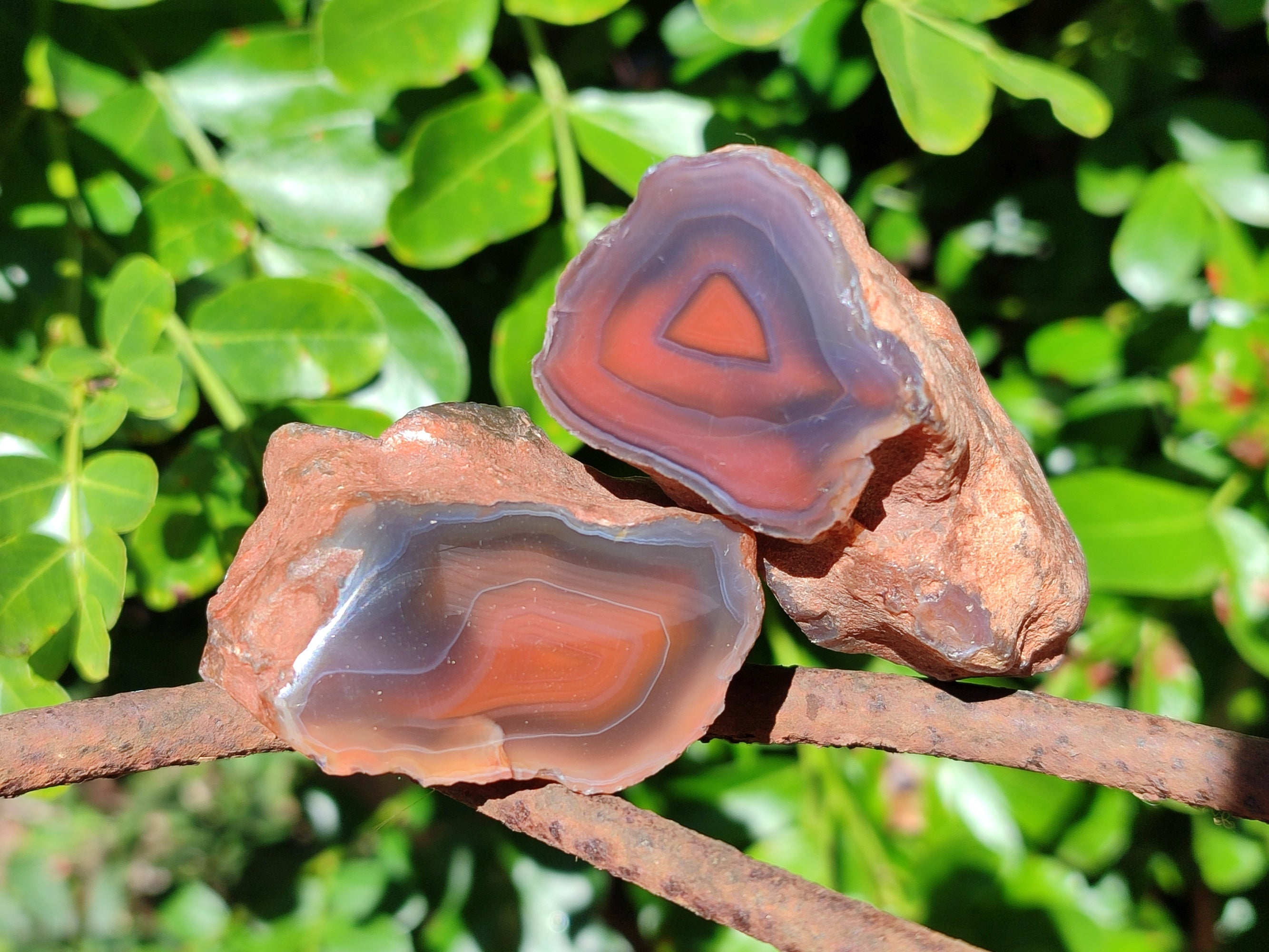 Polished On One Side Red Sashe River Agate Nodules x 12 From Zimbabwe - Toprock Gemstones and Minerals 