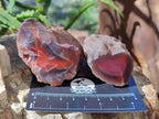 Polished On One Side Red Sashe River Agate Nodules x 12 From Zimbabwe - Toprock Gemstones and Minerals 
