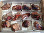 Polished On One Side Red Sashe River Agate Nodules x 12 From Zimbabwe - Toprock Gemstones and Minerals 