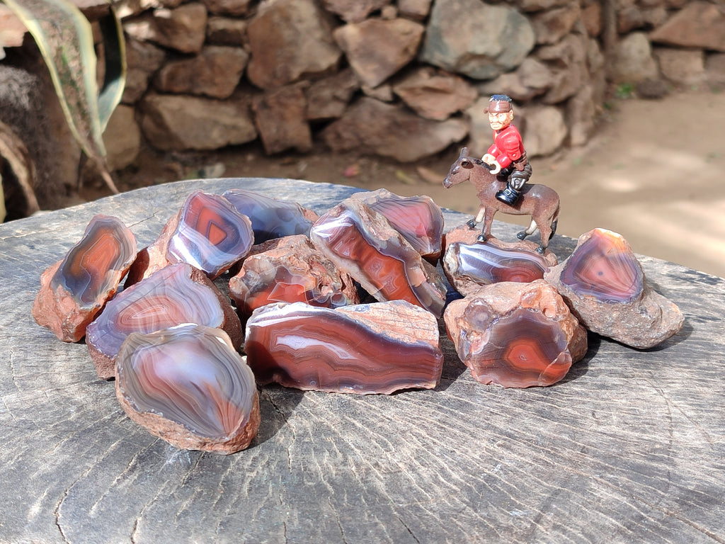 Polished On One Side Red Sashe River Agate Nodules x 12 From Zimbabwe - Toprock Gemstones and Minerals 