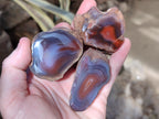 Polished On One Side Red Sashe River Agate Nodules x 12 From Zimbabwe - Toprock Gemstones and Minerals 