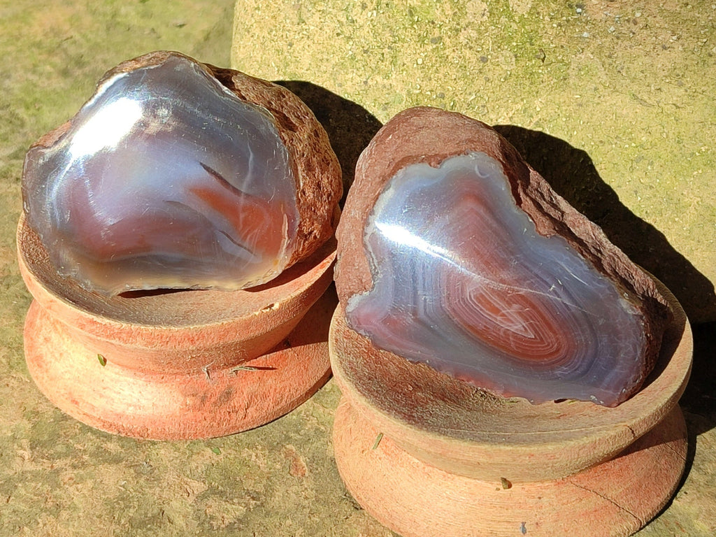 Polished On One Side Red Sashe River Agate Nodules x 12 From Zimbabwe - Toprock Gemstones and Minerals 