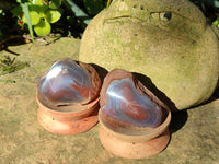 Polished On One Side Red Sashe River Agate Nodules x 12 From Zimbabwe - Toprock Gemstones and Minerals 