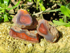 Polished On One Side Red Sashe River Agate Nodules x 12 From Zimbabwe - Toprock Gemstones and Minerals 