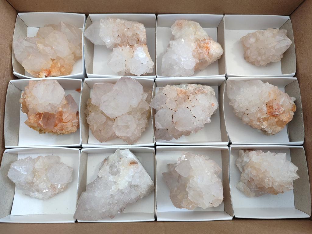 Natural Cactus Flower Spirit Quartz Clusters x 12 From South Africa - Toprock Gemstones and Minerals 