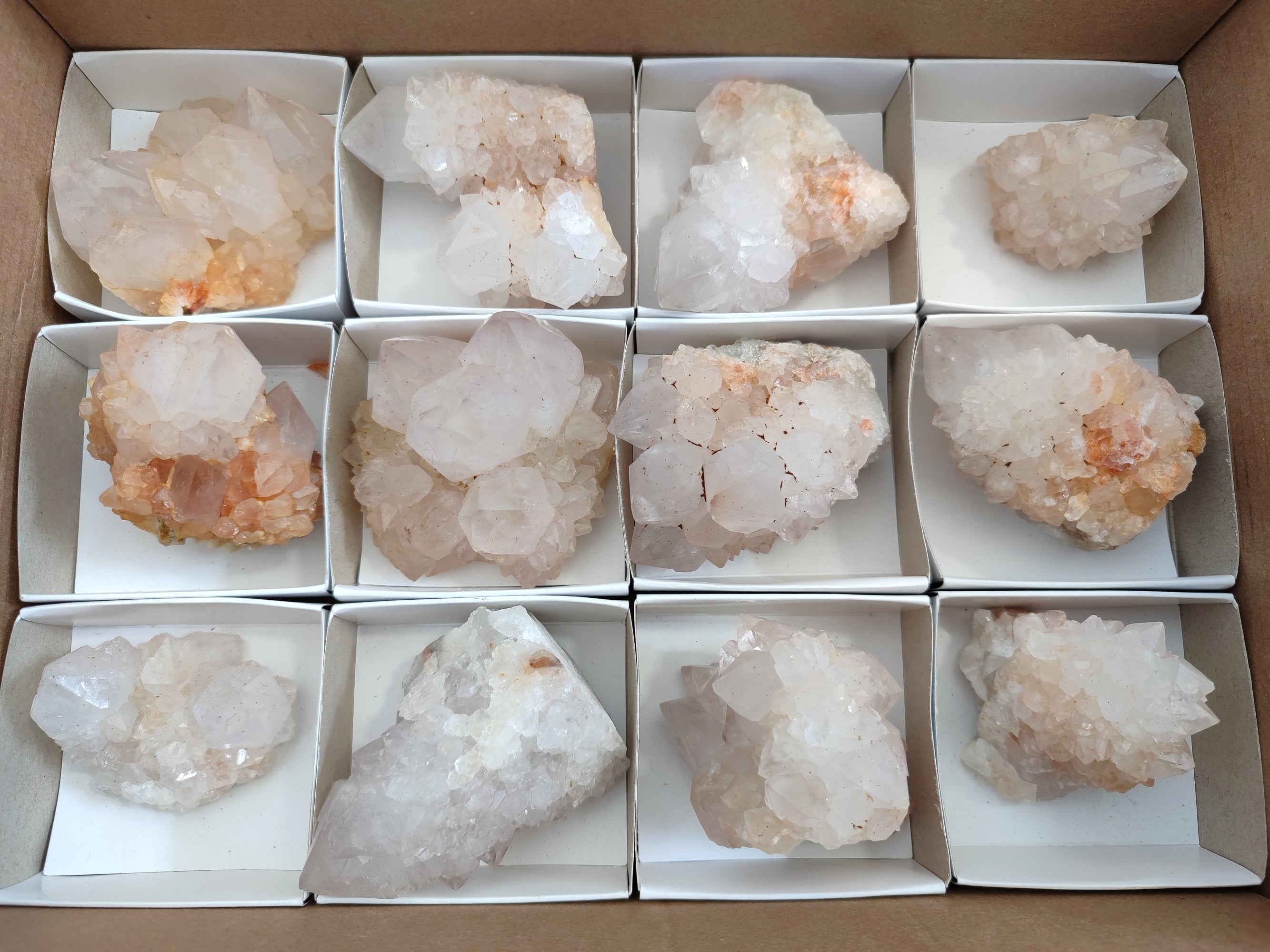 Natural Cactus Flower Spirit Quartz Clusters x 12 From South Africa - Toprock Gemstones and Minerals 
