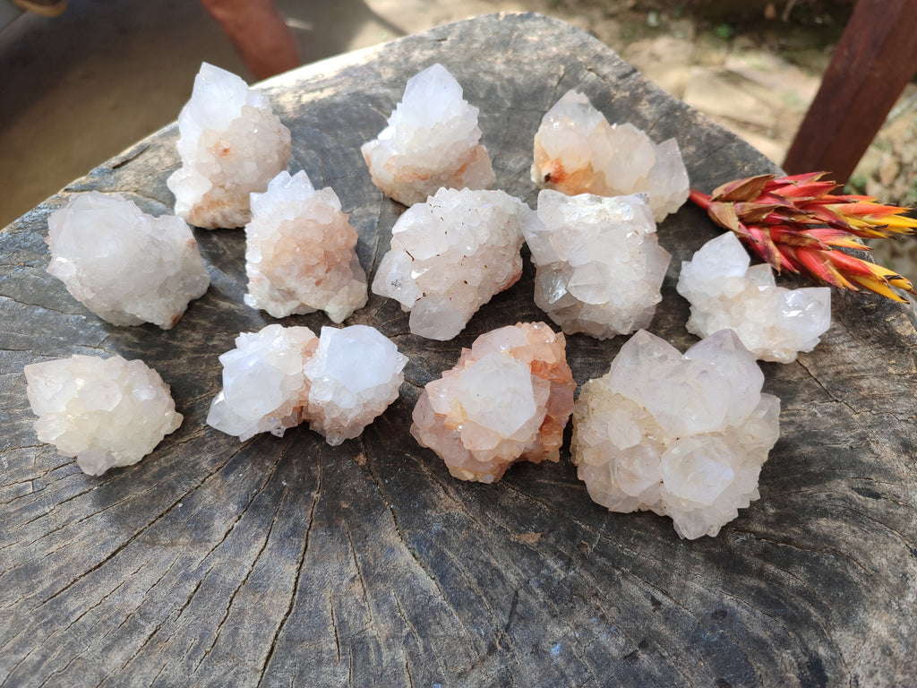 Natural Cactus Flower Spirit Quartz Clusters x 12 From South Africa - Toprock Gemstones and Minerals 