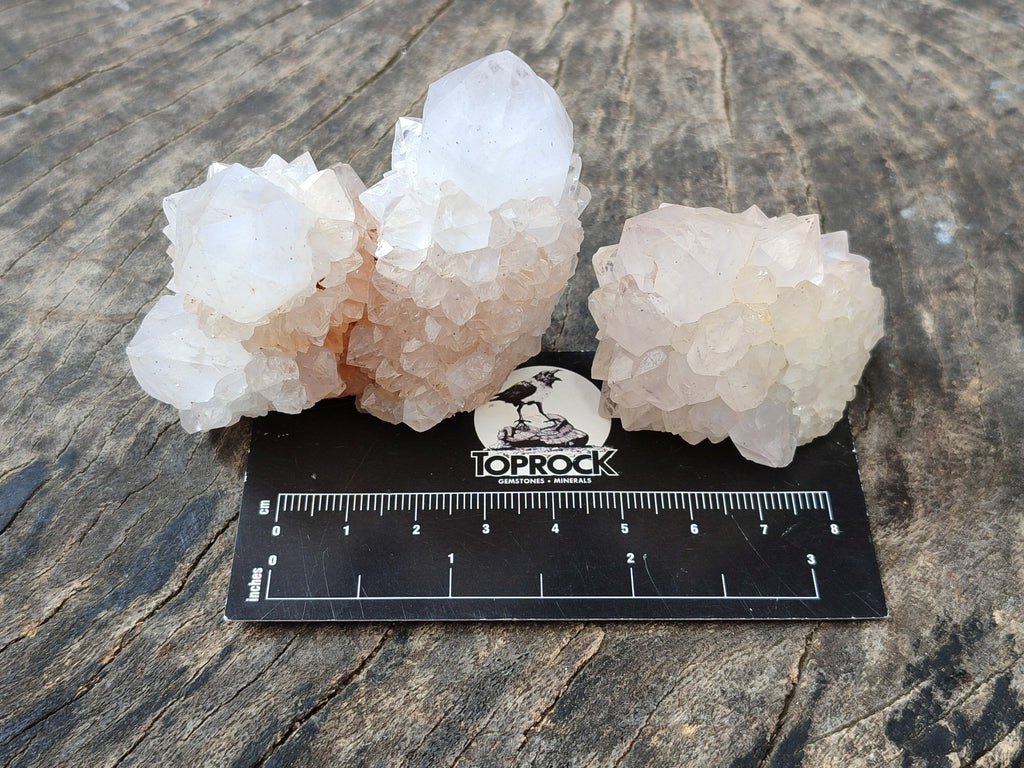 Natural Cactus Flower Spirit Quartz Clusters x 12 From South Africa - Toprock Gemstones and Minerals 