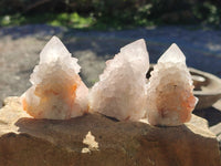 Natural Cactus Flower Spirit Quartz Clusters x 12 From South Africa - Toprock Gemstones and Minerals 